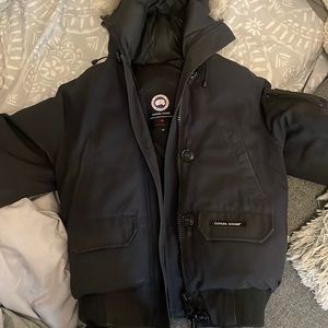 Black Canada goose. Almost bran new